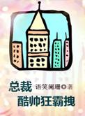 总裁酷帅狂霸拽by语笑阑珊讲的什么