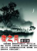 夜之月月
