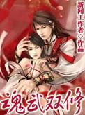 魂武双修战九天