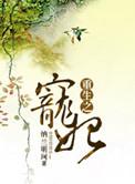 重生之宠妃使用手册
