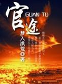 官途纵横从镇委大院开始