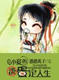 小妾的淡定人生百度