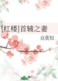 红楼首辅之妻众莫知