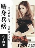 贴身兵皇免费阅读