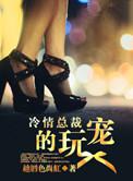 冷情总裁的宠溺美仪