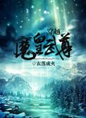穿越魔皇武尊txt
