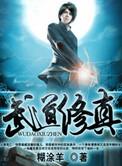 武道修真书