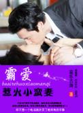 霸宠小蛮妻百度