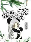 如何成为一个成功的魔宠