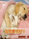 这重生不太对劲