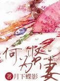 何为贤妻 月下蝶影讲什么