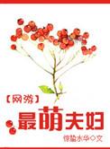网游之最萌夫妇 百度