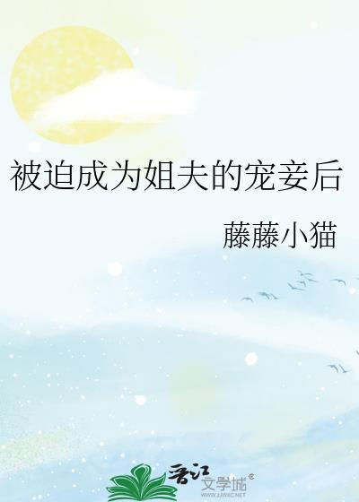 被迫成为姐夫的宠妾后 番外
