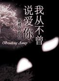 我从不曾说爱你书本资料