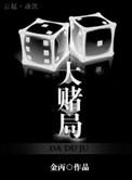 大赌局金丙txt百度TXT