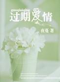 过期爱情夜曼讲的什么