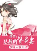 总裁的替身娇妻全文免费