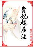 贵妃起居注太孙喜欢谁