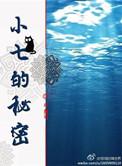 小七的秘密晋江