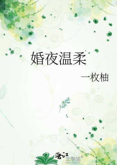 婚夜温柔附带番外百度