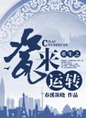 重生之苏瓷完整番外
