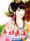 重生之弃妇医途全文
