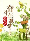 重生在激情岁月