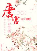 唐宫原著缺点