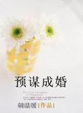 预谋的婚姻