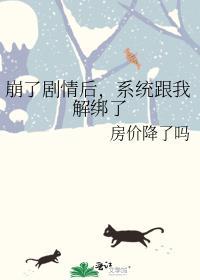 我崩坏了系统