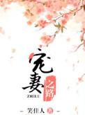 宠妻之路在线