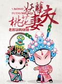 妖孽夫桃花妻讲的什么