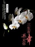 三生有幸遇见你免费观看完整版可投屏