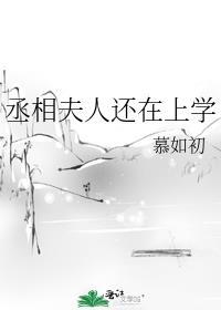 丞相夫人还在上学免费阅读