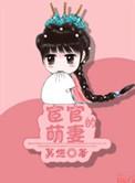 宦官宠妻的