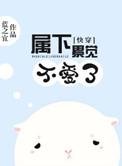 快穿属下要打脸免费全文阅读