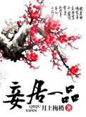 妻居一品里有多少人是穿越的