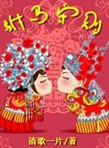 驸马守则百度TXT