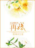 再婚怎么定义一胎二胎