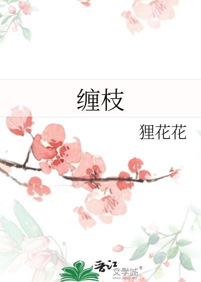 缠枝花纹图案