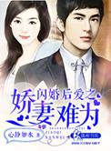 闪婚后小娇妻太野了