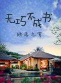 无巧不成书前一句是什么