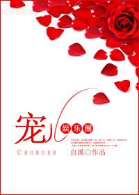 娱乐圈宠儿