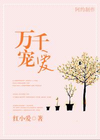 万千宠爱扫文