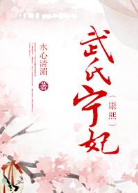 历史上宁妃武氏喜欢谁