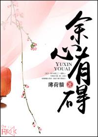 心有余心是什么意思