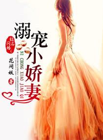 钻石闪婚之溺宠娇妻免费阅读全文
