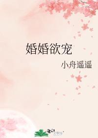 婚婚欲宠沈静姝TXT