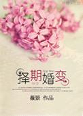择期婚变TXT百度免费阅读