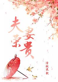 夫荣妻贵是个传说